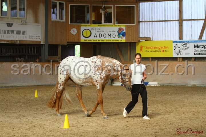 24-ApHC HIH_006.jpg
